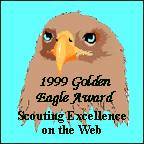 Golden Eagle Award